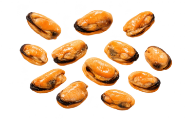 Delicious orange mussels, appetizing food on transparent background image