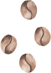 Coffee Beans illustration