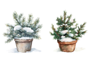 Watercolor Winter Scene with Evergreen Trees in Rustic Pot and Snow-Covered Branch Isolated on Transparent Background