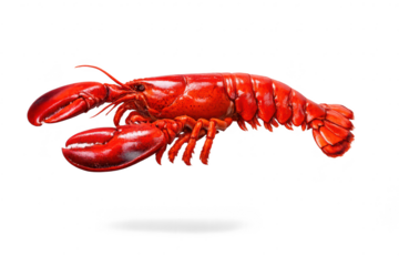 Red Lobster Seafood Boil with transparent background ready to eat item.