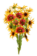 Colorful bouquet of flowers with red and yellow petals arranged in a natural setting