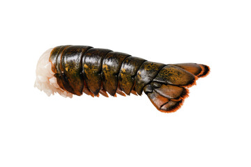 Lobster tail isolated on transparent background food photography art.
