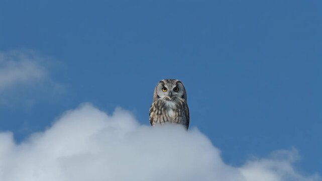 Auf einer Wolke