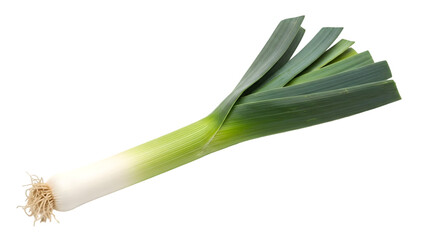 A green onion or scallion isolated on transparent background with roots and leaves