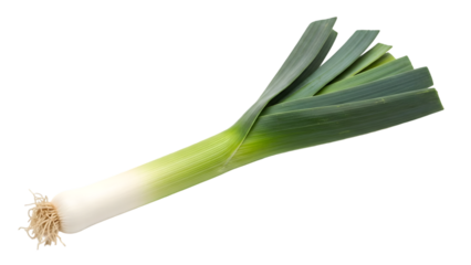 A green onion or scallion isolated on transparent background with roots and leaves
