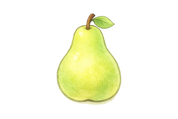 Watercolor Pear Illustration with transparent background artwork style.