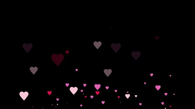 Heart flaying background animation 2d pink hot pink color. Transparent background
