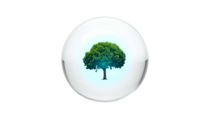 A vibrant green tree is contained within a translucent, glossy sphere set against a black background