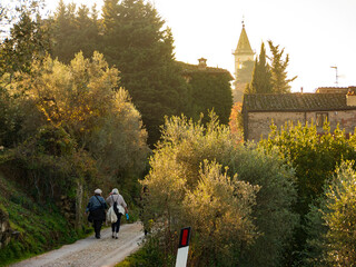 Italia, Toscana, Firenze,  campagna intorno la città.