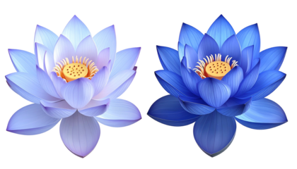 Two vibrant, detailed lotus blossoms, one lavender, the other blue, against black