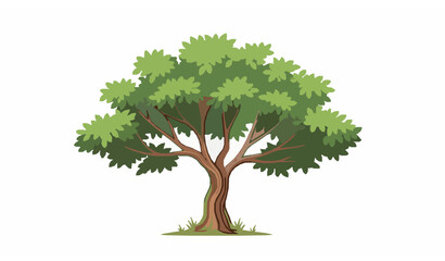 Minimalist Deciduous Tree with Green Leaves Vector Illustration