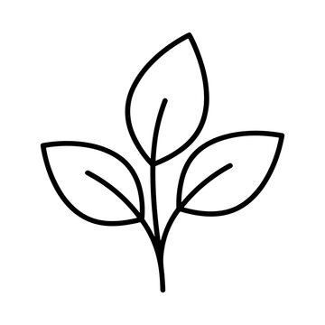 Minimalist Three Leaf Sprout Line Art Vector Icon