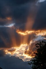 Obraz premium Majestic sunset over clouds with sun rays and tree silhouette