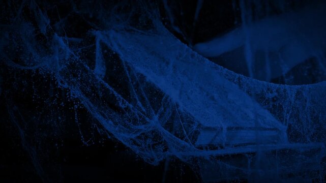 Old Book Found Under Cobwebs At Night