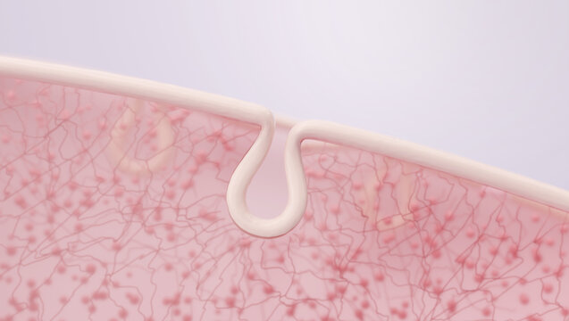 Firm skin pore structure with high collagen and elastin density 3d illustration vertical