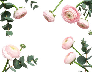 - Elegant Floral Flat Lay with Pink Ranunculus and Eucalyptus on White Marble Background 