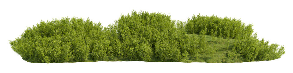 Fresh green grass and leafy spring plants isolated on a transparent background create a healthy nature scene featuring garden herbs and summer forest leaves, PNG file, 3D rendering illustration