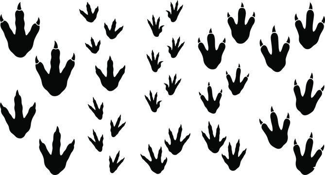Dinosaur Footprint Track Silhouette Vector Set