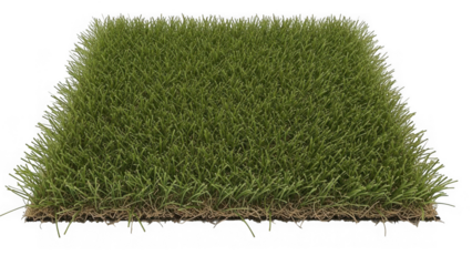 Green grass turf patch with soil base