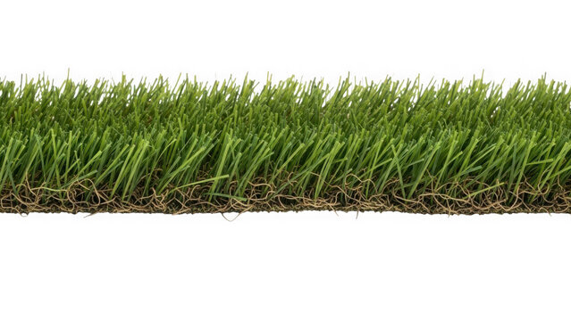 Green grass with roots on white background