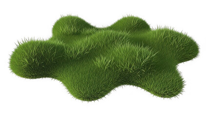 Fototapeta premium Green grassy land patch isolated on white background
