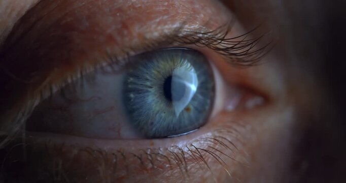 Slow Motion Macro Close Up Of Blue Eye Moving And Blinking With Natural Light Reflection. Concept Of Vision, Focus, Perception