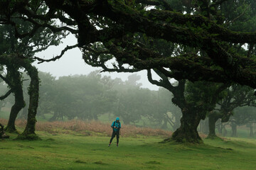 Individual hiker surrounded by misty trees and peaceful meadows