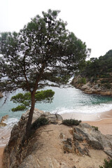 The view of Cala Pola beach in Tossa De Mar, Costa Brava, Spain                  