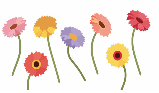 Bright gerbera flower vector set with colorful petals and curved stems isolated on white