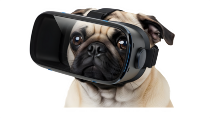 Pug Dog Wearing Black Virtual Reality Headset on White Background