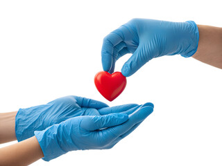 Gloved Hands Sharing Red Heart isolated on transparent background
