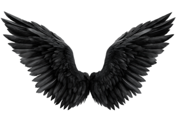 Detailed black angel wings with soft feather textures spread symmetrically isolated on a transparent background