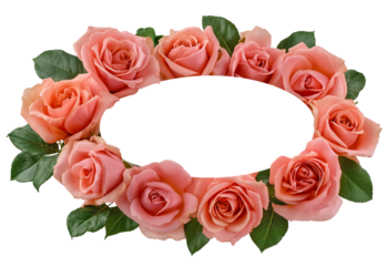 Peach roses arranged in an oval frame with green leaves isolated on a transparent background floral frame