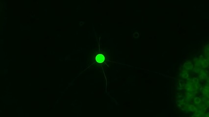 Green glowing whisk silhouette on black background