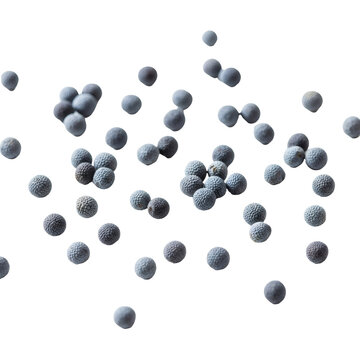 Alternaria fungal spores closeup Transparent Background