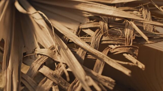 Exotic Thatched Roof Texture: Close-Up of Woven Palm Fronds in Natural Light Conditions