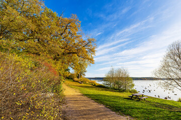 Wanderweg und B&auml;ume am Plauer See in der Stadt Plau am See