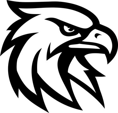 An Eagle, Hawk, Falcon illustration mascot Eagles, Hawks, Falcons sports team animal or an icon emblem branding concept.