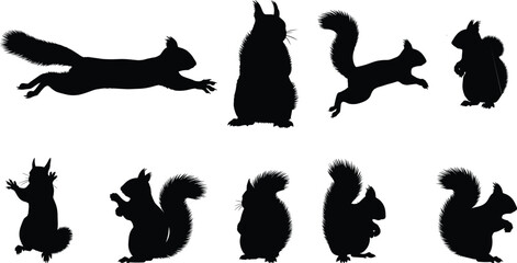 Fototapeta premium Squirrel, silhouette, animal, jump, leap, sit, stand, climb, paws, tail, forest, nature, wildlife, black, white, illustration, motion, behavior, pose, furry, cute, upright