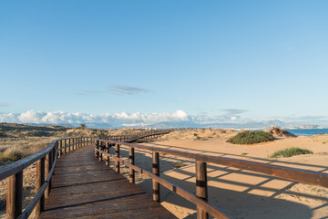 Wooden boardwalk winding through coastal sand dunes