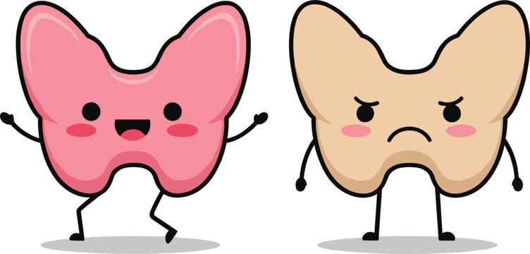 Cute cartoon vector illustration of happy healthy thyroid and sad unhealthy thyroid characters for endocrine health awareness