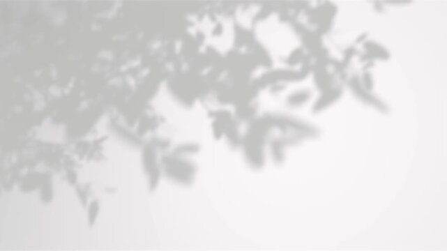 Realistic Shadow leaves trees branches dancing wind on white backgrounds footage video rendering