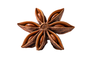 Single star anise spice with eight points and brown seeds on black image