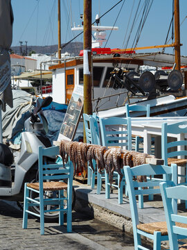 Poulpes traditionnels s&eacute;chant au soleil sur le port de Naoussa, &icirc;le de Paros, Gr&egrave;ce