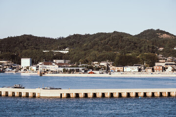 Japan,pumpkin,Seto Inland Sea,Naoshima,cat