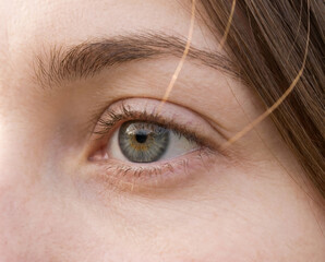 Obraz premium Macro close up of gray female eye in natural daylight