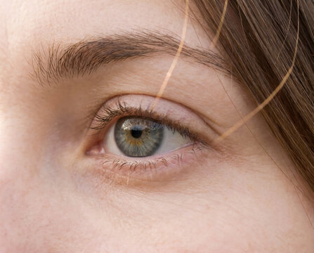 Macro close up of gray female eye in natural daylight
