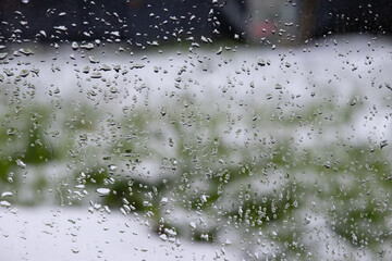 Rain drops on a window glass with blurred snowy garden and green plants in background