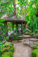 Naklejka premium beautiful garden in the courtyard of a restaurant in Thailand