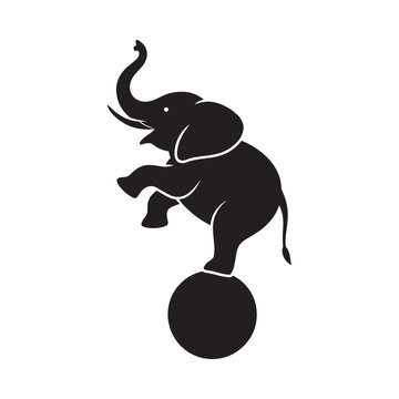 a black silhouette of an elephant balancing on a ball